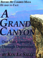 A Grand Canyon, One Man’s Journey through Depression