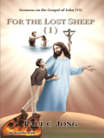 Sermons on the Gospel of John(VI) - For The Lost Sheep(I)