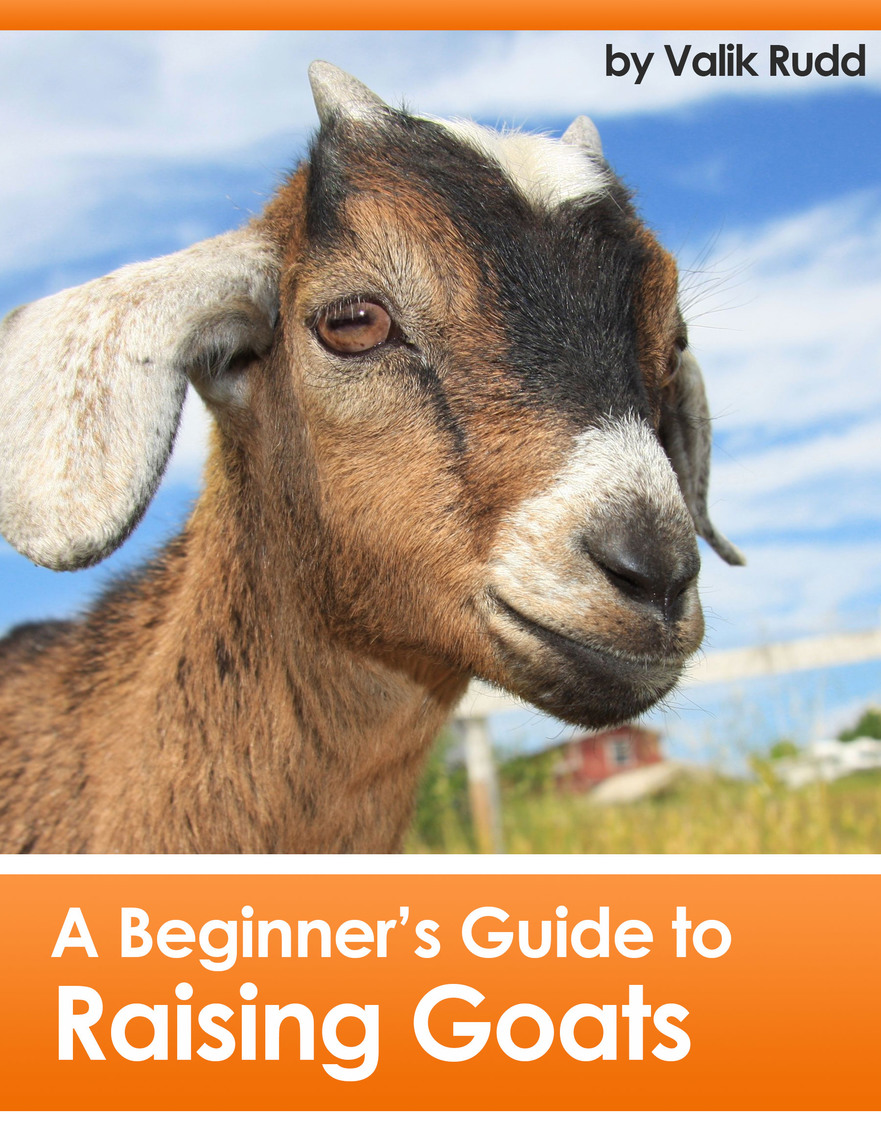 A Beginner's Guide To Raising Goats by Valik Rudd Book Read Online