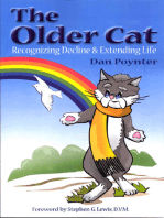 The Older Cat