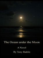 The Ocean under the Moon