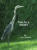Time for a Short?