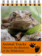 Animal Tracks: Discover the Rhythms of the Wilderness