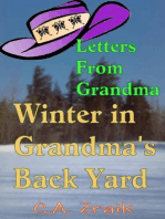 Winter In Grandma's Back Yard
