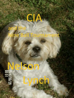 CIA and the Nine Ball Tournament