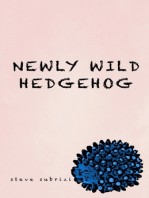 Newly Wild Hedgehog