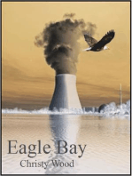 Eagle Bay