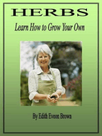 Herbs_Learn How to Grow Your Own