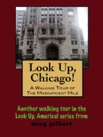 Look Up, Chicago! A Walking Tour of the Magnificent Mile