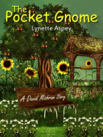 The Pocket Gnome