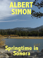 Springtime in Sonora: A Henry Wright Mystery