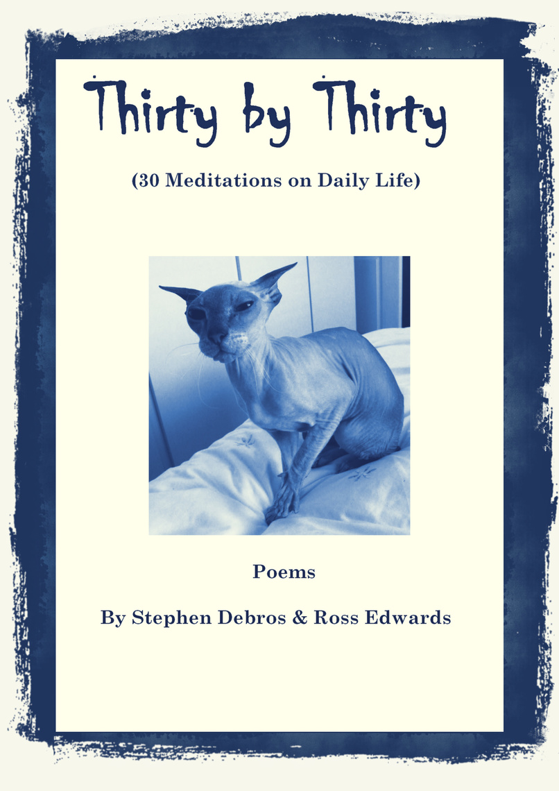 Thirty by Thirty (30 Meditations on Daily Life) by Stephen Debros, Ross ...