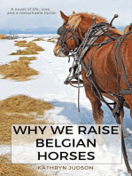 Why We Raise Belgian Horses