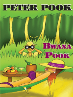 Bwana Pook