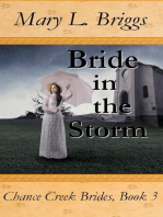 Bride in the Storm (Chance Creek Brides Book 3)