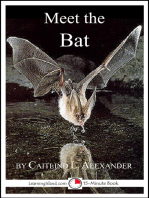 Meet the Bat: A 15-Minute Book for Early Readers