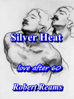 Silver Heat