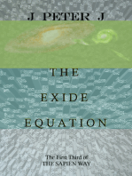 The Exide Equation