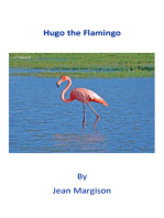 Hugo the Flamingo