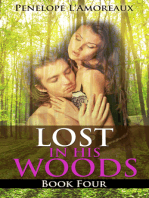 Lost in His Woods: Book Four