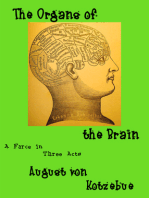 The Organs of the Brain