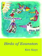 Birds of Evanston