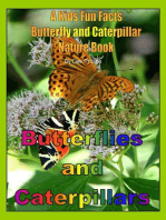 Butterflies and Caterpillars