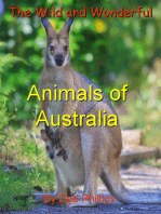 The Wild and Wonderful Animals of Australia