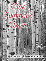 One Summer's Storm