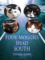 Four Moggies Head South