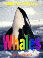 Whales