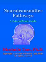 Neurotransmitter Pathways: A Tutorial Study Guide