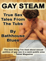 Gay Steam: True Sex Tales from the Tubs