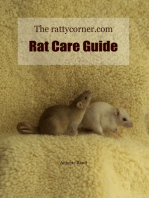 The rattycorner.com Rat Care Guide