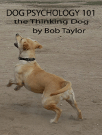 Dog Psychology 101: The Thinking Dog