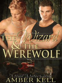 The Wizard and The Werewolf by Amber Kell (Ebook) - Read free for ...