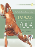 The Key Muscles of Yoga: Scientific Keys Volume I