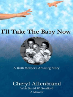 I'll Take the Baby Now: A Birth Mother's Amazing Story