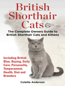 british blue shorthair temperament