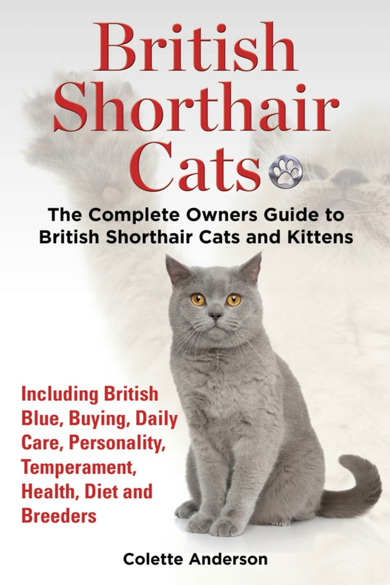 British Shorthair Cats, The Complete Owners Guide to British