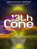 The 13th Cone