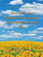 Predigten über das Evangelium nach Johannes (II) - Die Liebe Gottes offenbart sich durch Jesus, den eingeborenen Sohn (II)