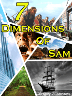 7 Dimensions Of Sam