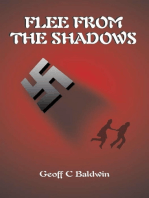 Flee from the Shadows
