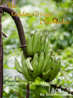 The Golden Gringo Chronicles