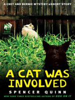 A Cat Was Involved