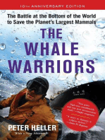 The Whale Warriors