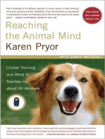 Reaching the Animal Mind