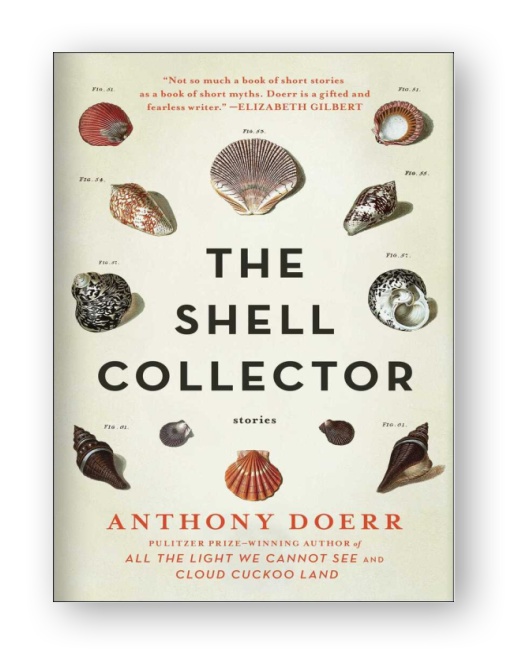 The Shell Col...