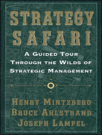 Strategy Safari